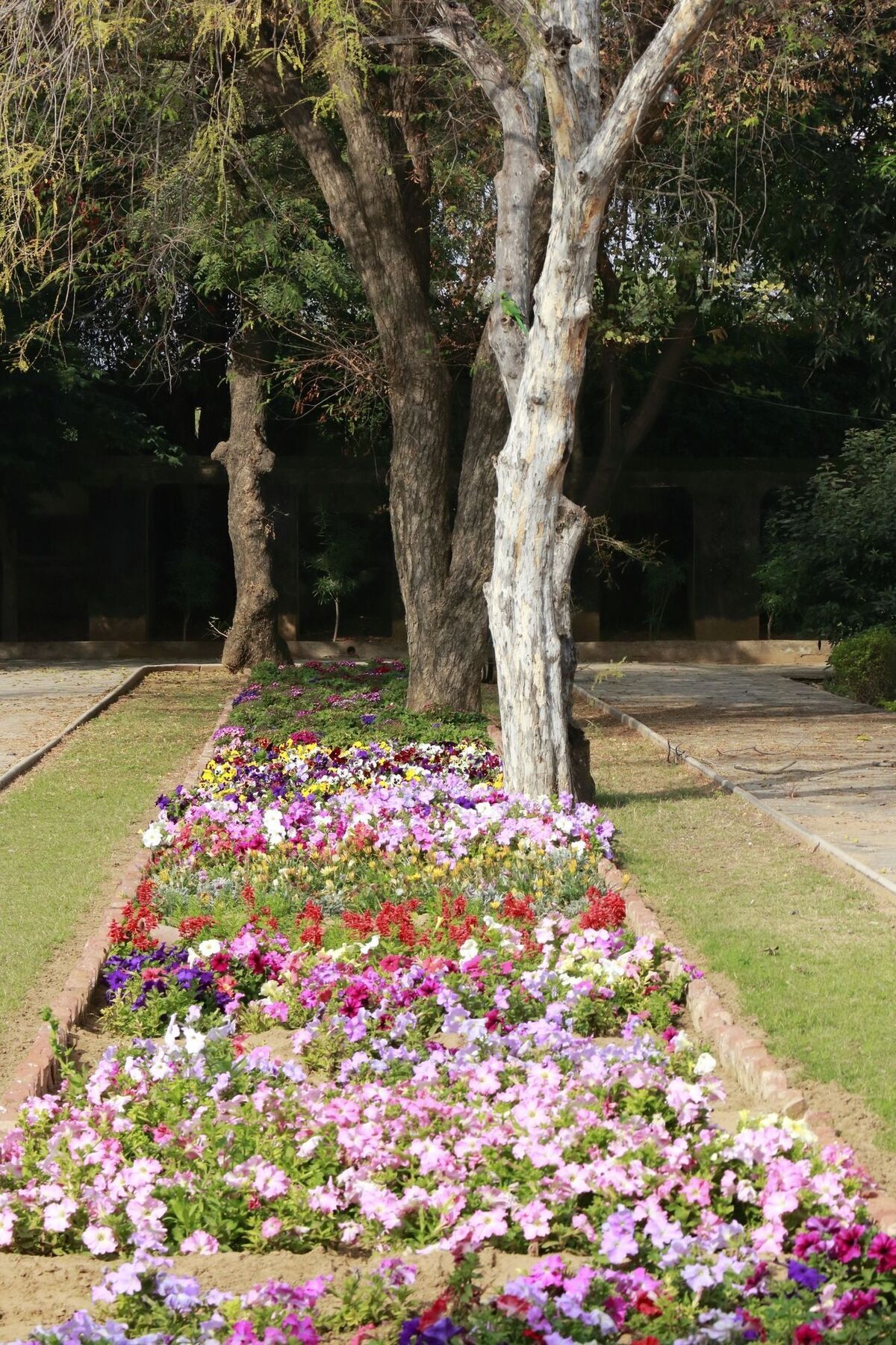 Samode Bagh Hotel Luaran gambar